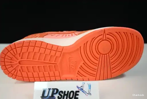Low Nike (W) Winter Solstice NH Dunk DO6723-800 0503